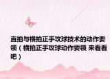 直拍与横拍正手攻球技术的动作要领（横拍正手攻球动作要领 来看看吧）