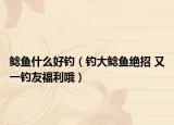 鲶鱼什么好钓（钓大鲶鱼绝招 又一钓友福利哦）