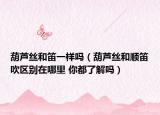 葫芦丝和笛一样吗（葫芦丝和顺笛吹区别在哪里 你都了解吗）