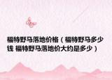 福特野马落地价格（福特野马多少钱 福特野马落地价大约是多少）
