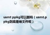 usmt ppkg可以删吗（usmt.ppkg到底是啥文件呢）