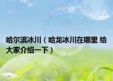 哈尔滨冰川（哈龙冰川在哪里 给大家介绍一下）