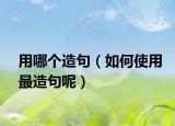 用哪个造句（如何使用最造句呢）