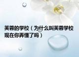 芙蓉的学校（为什么叫芙蓉学校 现在你弄懂了吗）