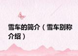 雪车的简介（雪车别称介绍）