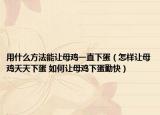 用什么方法能让母鸡一直下蛋（怎样让母鸡天天下蛋 如何让母鸡下蛋勤快）