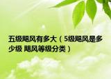 五级飓风有多大（5级飓风是多少级 飓风等级分类）