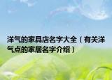洋气的家具店名字大全（有关洋气点的家居名字介绍）