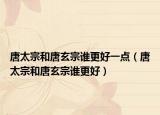 唐太宗和唐玄宗谁更好一点（唐太宗和唐玄宗谁更好）