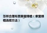 怎样合理布置家居绿植（家里绿植选择方法）