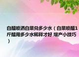 白醋喷洒白菜兑多少水（白菜喷醋1斤醋用多少水稀释才好 增产小技巧）