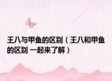 王八与甲鱼的区别（王八和甲鱼的区别 一起来了解）