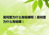 房间里为什么有蟑螂呢（房间里为什么有蟑螂）