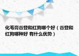 化毛膏谷登和红狗哪个好（谷登和红狗哪种好 有什么优势）