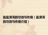 盐盐泽泻的功效与作用（盐泽泻的功效与作用介绍）