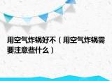 用空气炸锅好不（用空气炸锅需要注意些什么）