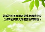 好听的纯英文网名男生有哪些中文（好听的纯英文网名男生有哪些）