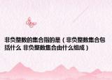 非负整数的集合指的是（非负整数集合包括什么 非负整数集合由什么组成）