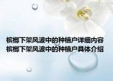 槟榔下架风波中的种植户详细内容 槟榔下架风波中的种植户具体介绍
