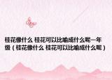 桂花像什么 桂花可以比喻成什么呢一年级（桂花像什么 桂花可以比喻成什么呢）