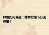 林麝如何养殖（林麝按如下方法养殖）