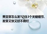 黄豆芽怎么发?记住3个关键细节,发芽又快又好不腐烂