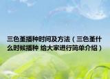 三色堇播种时间及方法（三色堇什么时候播种 给大家进行简单介绍）