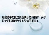 蚂蚁能举起比自身重多少倍的物体（关于蚂蚁可以举起自身多少倍的重量）
