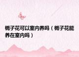 栀子花可以室内养吗（栀子花能养在室内吗）
