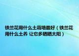 铁兰花用什么土栽培最好（铁兰花用什么土养 让它多晒晒太阳）