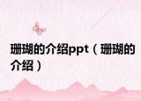 珊瑚的介绍ppt（珊瑚的介绍）