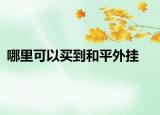 哪里可以买到和平外挂