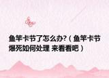 鱼竿卡节了怎么办?（鱼竿卡节爆死如何处理 来看看吧）