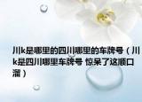 川k是哪里的四川哪里的车牌号（川k是四川哪里车牌号 惊呆了这顺口溜）