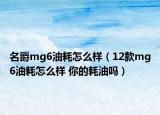 名爵mg6油耗怎么样（12款mg6油耗怎么样 你的耗油吗）