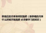 移栽后的月季苗何时施肥（新移植的月季什么时候开始施肥 必须要学习的知识）