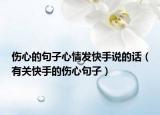 伤心的句子心情发快手说的话（有关快手的伤心句子）