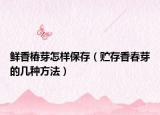 鲜香椿芽怎样保存（贮存香春芽的几种方法）