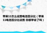 苹果11怎么设置电池百分比（苹果11电池百分比设置 你都学会了吗）