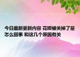 今日最新更新内容 花呗被关掉了是怎么回事 和这几个原因有关