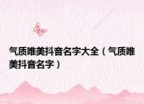 气质唯美抖音名字大全（气质唯美抖音名字）