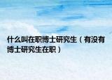 什么叫在职博士研究生（有没有博士研究生在职）