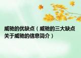 威驰的优缺点（威驰的三大缺点 关于威驰的信息简介）
