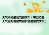 天气不错的朋友圈文案（哪些适合天气很好时的发朋友圈的俏皮文案）