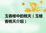 玉春楼中的桃夭（玉楼春桃夭介绍）