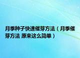 月季种子快速催芽方法（月季催芽方法 原来这么简单）