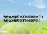 为什么冰箱灯亮不制冷没声音了（为什么冰箱灯亮不制冷没声音）