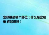 宫颈锥是哪个部位（什么是宫颈椎 你知道吗）