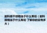 副科级干部相当于什么军衔（副科级相当于什么军衔 了解你的官有多大）