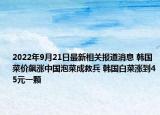 2022年9月21日最新相关报道消息 韩国菜价飙涨中国泡菜成救兵 韩国白菜涨到45元一颗